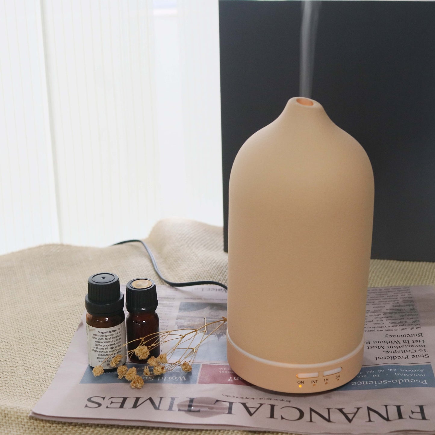 Sleek Frosted Ceramic Oil Diffuser for Home